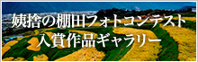 姨捨の棚田フォトコンテスト入賞作品ギャラリー