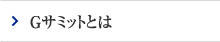 Gサミットとは