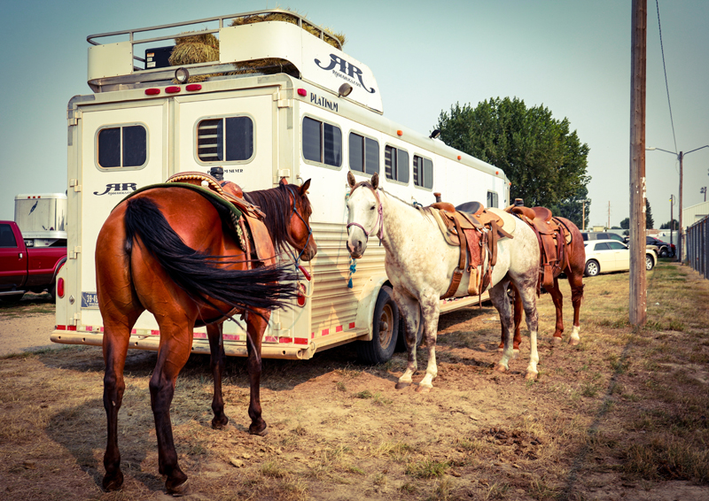 	―若者たちの挑戦―アメリカ・モンタナ州 Richland Youth Rodeo Contestants