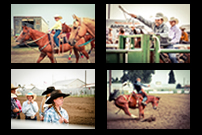 「―若者たちの挑戦―アメリカ・モンタナ州 Richland Youth Rodeo Contestants」