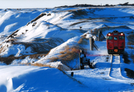 「原野を往く」