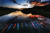 「鯉のぼり遡上」