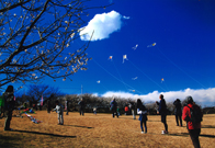 「田浦の海風を受けて」