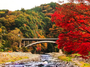 「渓谷の彩色」