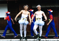 「これでも白鳥」