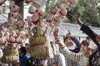 「ワー!!きれい!!」